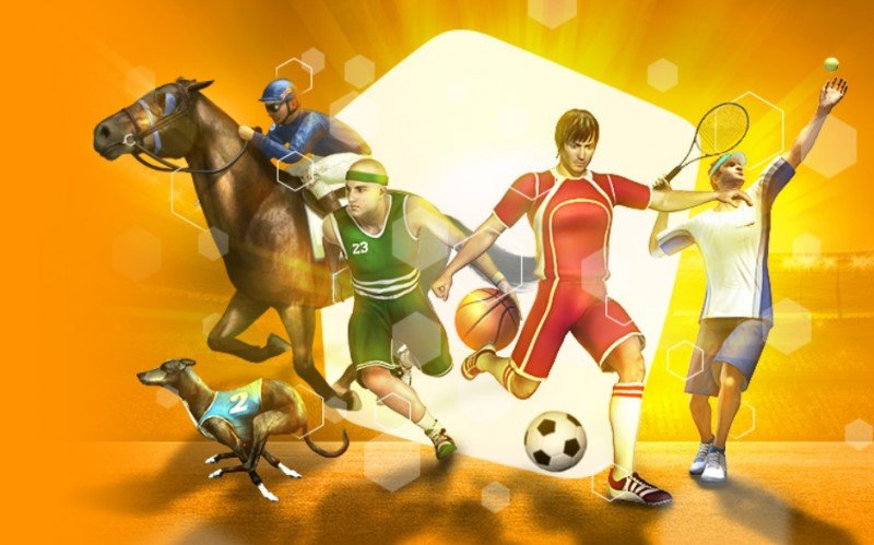 Tennis là môn thể thao quý tộc và thường được nhiều người chơi chọn lựa